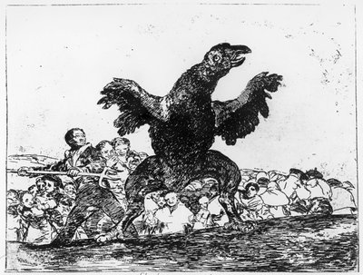 The Carnivorous Vulture, plate 76 from 